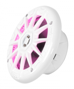 Boss Audio MRGB55W