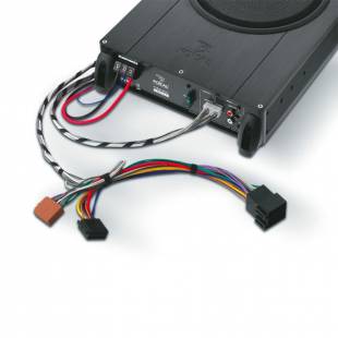 Focal  IBus 2.1