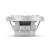 Rockford Fosgate M1D2-10